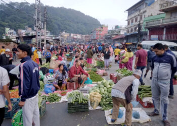 शनिबारे किनमेल