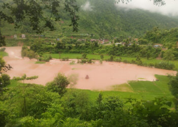 तारकेश्वरमा बाढीले सयौँ रोपनी धानखेत बगरमा परिणत