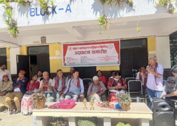 वृहत स्वास्थ्य शिविर