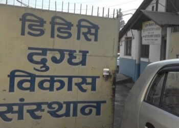 डीडीसीले उठाउनुपर्ने बक्यौता ३१ करोड, किसानलाई तिर्नुपर्ने ७० करोड