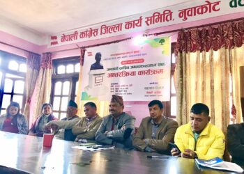 प्रजातन्त्र सेनानी शाहको स्मरण