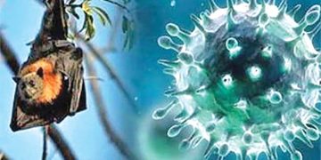 निपाह भाइरस रोक्न उच्च सावधानी