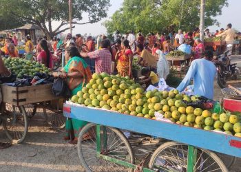 नियमन कमजोर हुँदा हानिकारक आँपको बिक्री बढ्दो